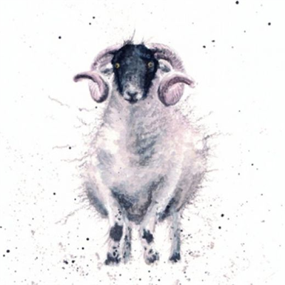 Wrendale Greetings Card - Feeling Sheepish