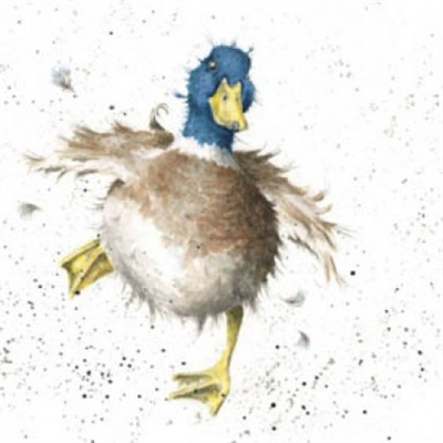 Wrendale Greetings Card - Waddle & Quack 