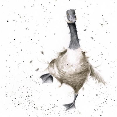 Wrendale Greetings Card - Strictly Goose Dancing 