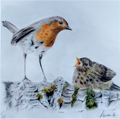 Keiran Hodge Art - Robin & Chick