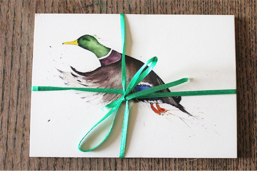 Clare Brownlow Mallard Postcards - Pack of 10