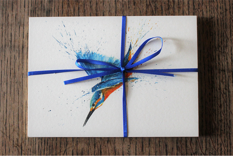 Clare Brownlow Diving Kingfisher Postcards - Pack of 10