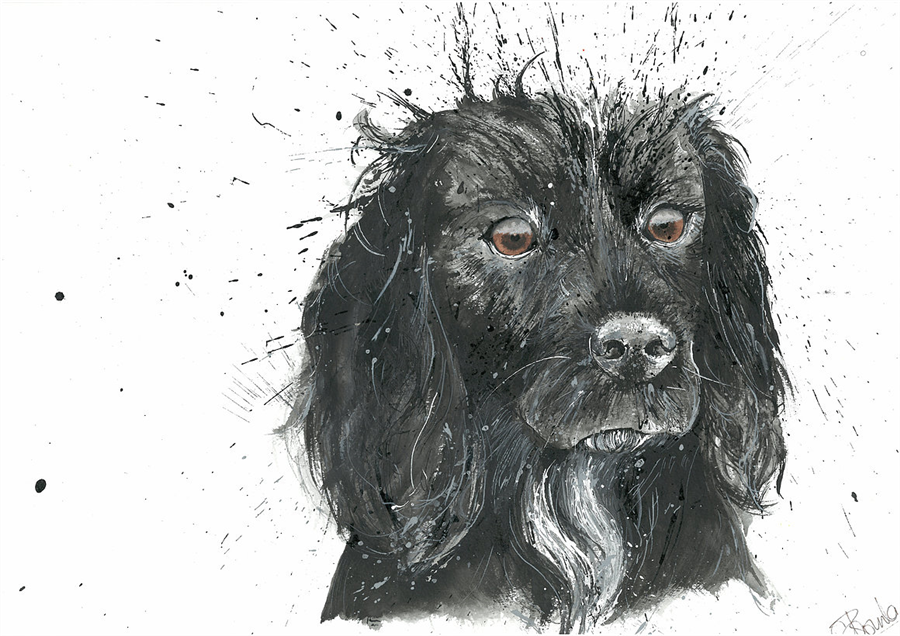 Clare Brownlow Black Cocker Spaniel Postcards - Pack of 10 - Image 2