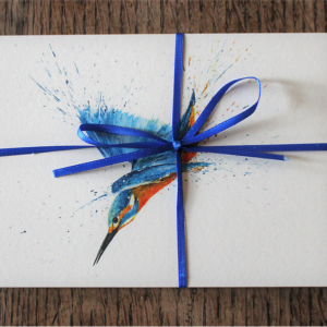 Clare Brownlow Diving Kingfisher Postcards - Pack of 10