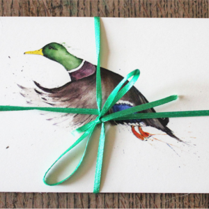 Clare Brownlow Mallard Postcards - Pack of 10