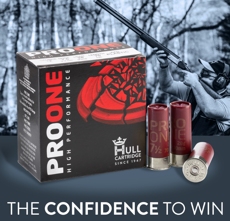 Hull 12g Pro One 28gm - 8 PW