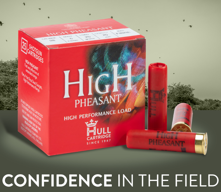 Hull 28g High Pheasant 25gm - 5 FW
