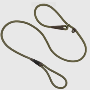 Bisley Field Trial Advanced Dog lead - Green