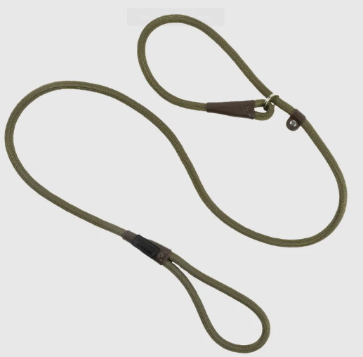 Bisley Field Trial Advanced Dog lead - Green