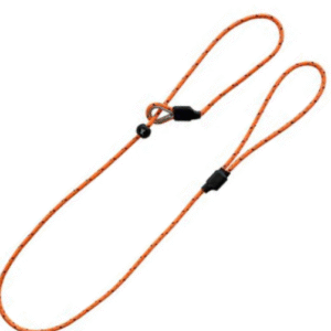 Bisley Field Trial Advanced Dog lead - Orange