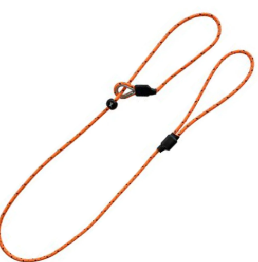 Bisley Field Trial Advanced Dog lead - Orange
