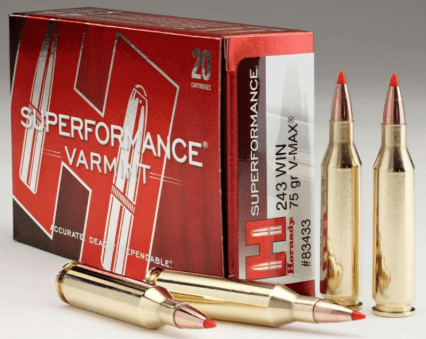 Hornady 75gr V-Max .243 Super Performance Bullets (Boxes of 20)