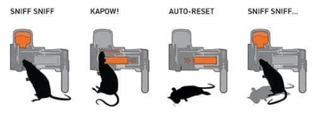 GOODNATURE A24 AUTOMATIC MULTI-KILL TRAP FOR RATS - Image 2