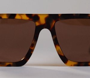 Edwards Eyewear Milan Havana Frames with Bronze polarised Lens