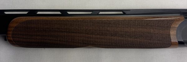 SGN 261017/006 Rizzini BR110 - Image 3