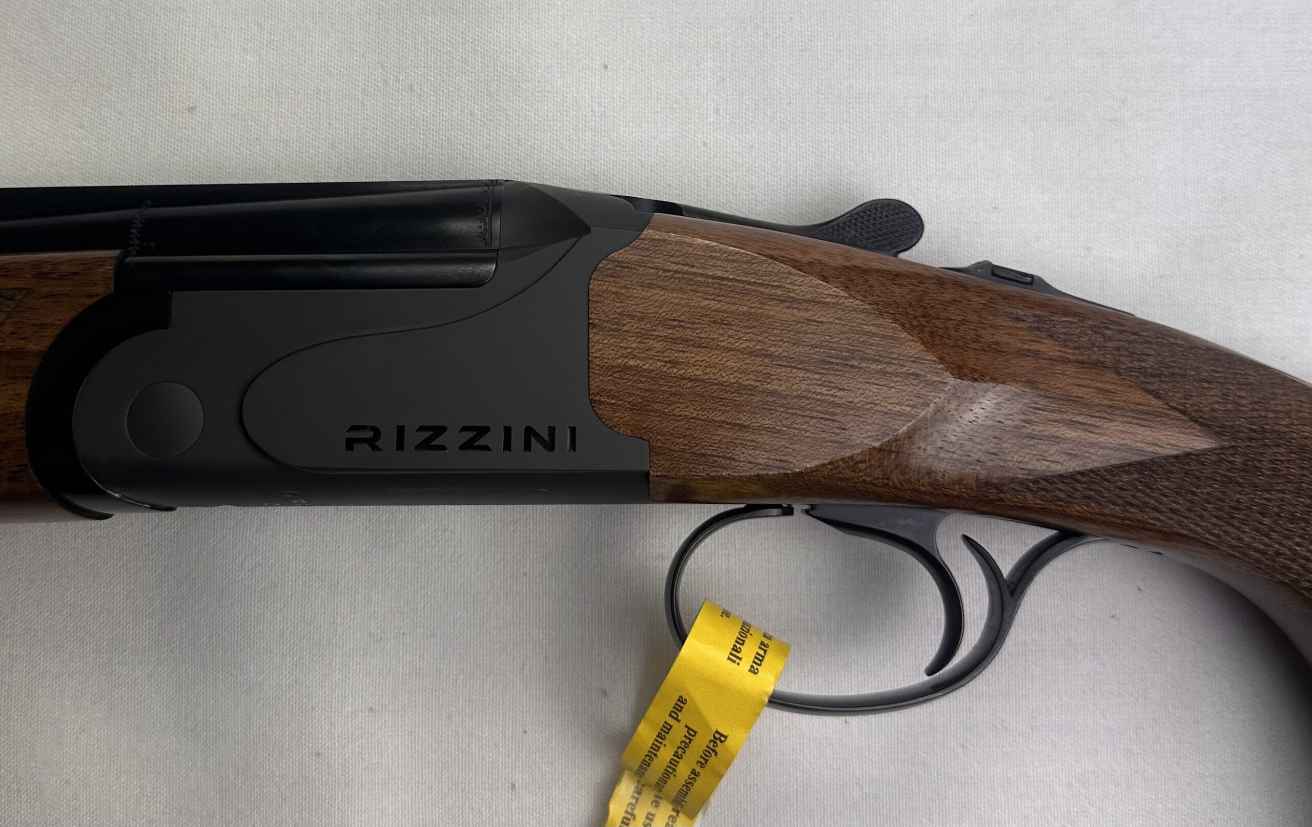 SGN 261017/006 Rizzini BR110